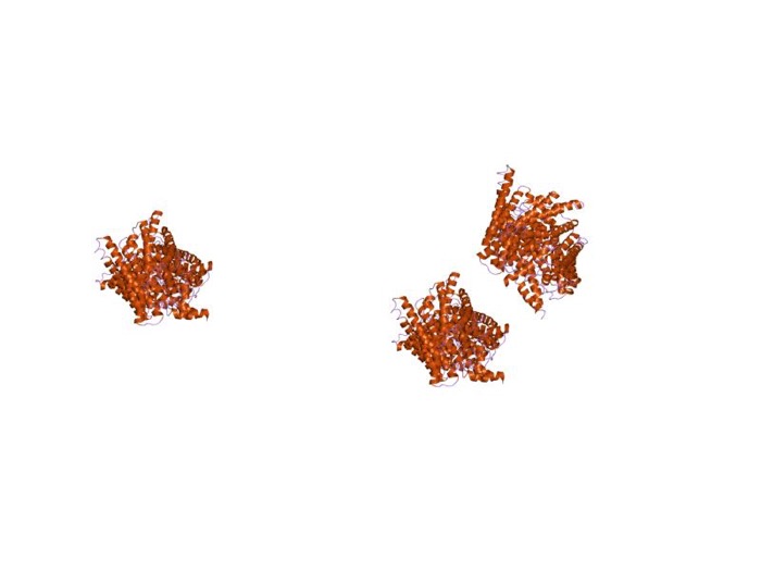 Chloride influx with sodium efflux