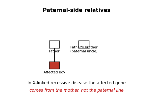 Paternal-side relatives