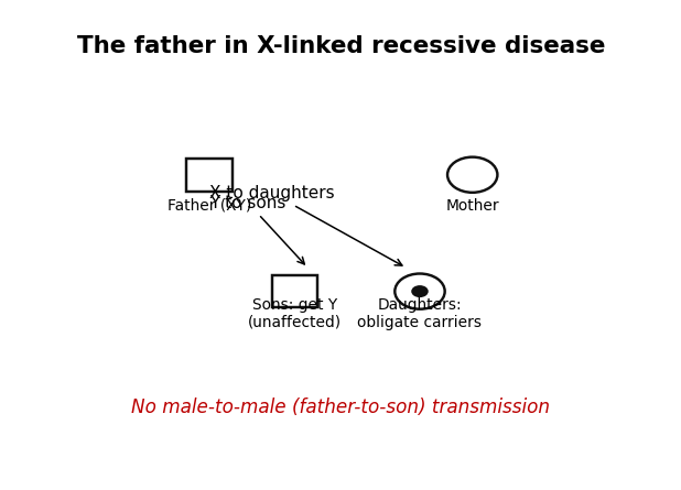 Father transmits Y to sons and X to daughters