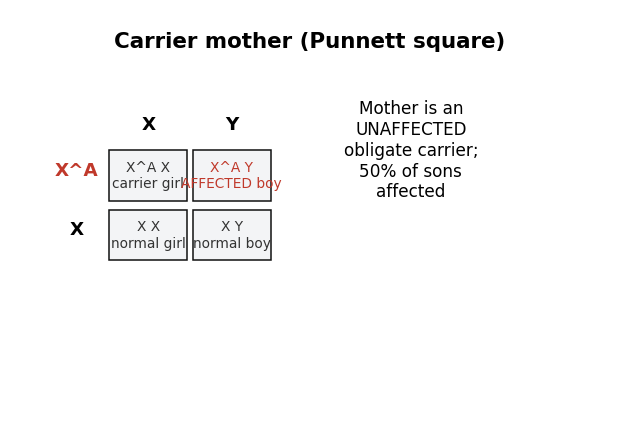 Carrier mother Punnett square