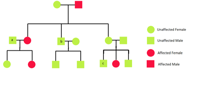 Autosomal recessive disorders