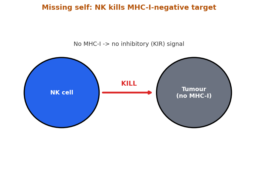 Natural killer cell missing self recognition MHC class I