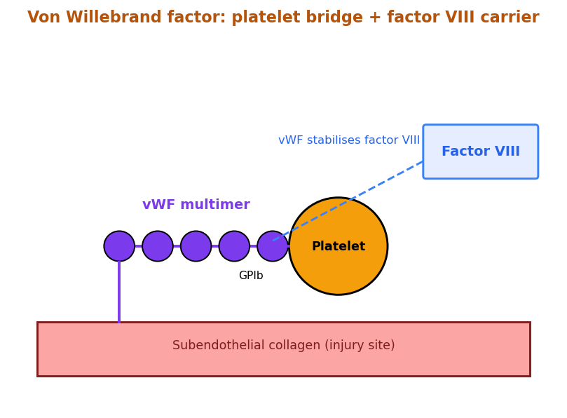 Von Willebrand factor multimers binding platelets
