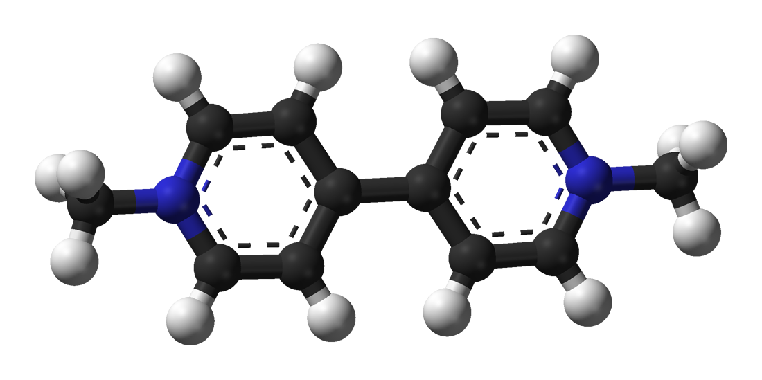 Molecular model of paraquat