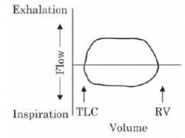 Image for question 7