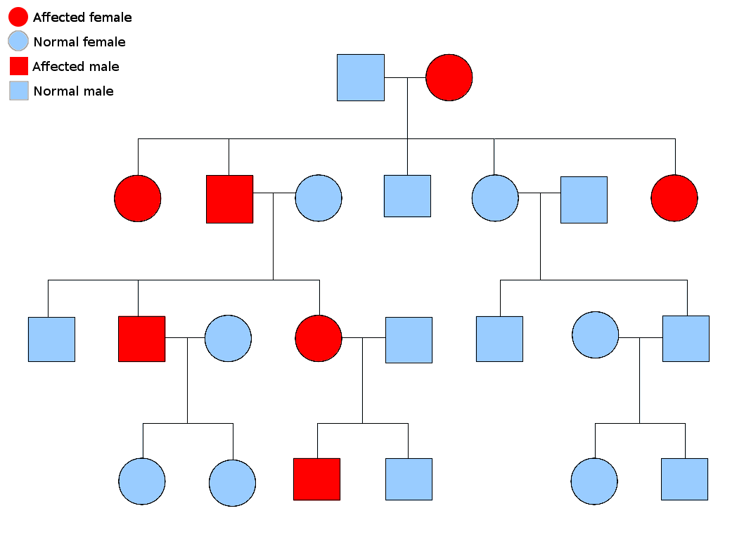 Standard pedigree chart with a legend, squares for males
  and circles for females, filled symbols marking affected individuals across several generations