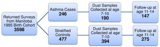 Flow diagram of a nested case-control study with cases and controls drawn from a
  birth cohort