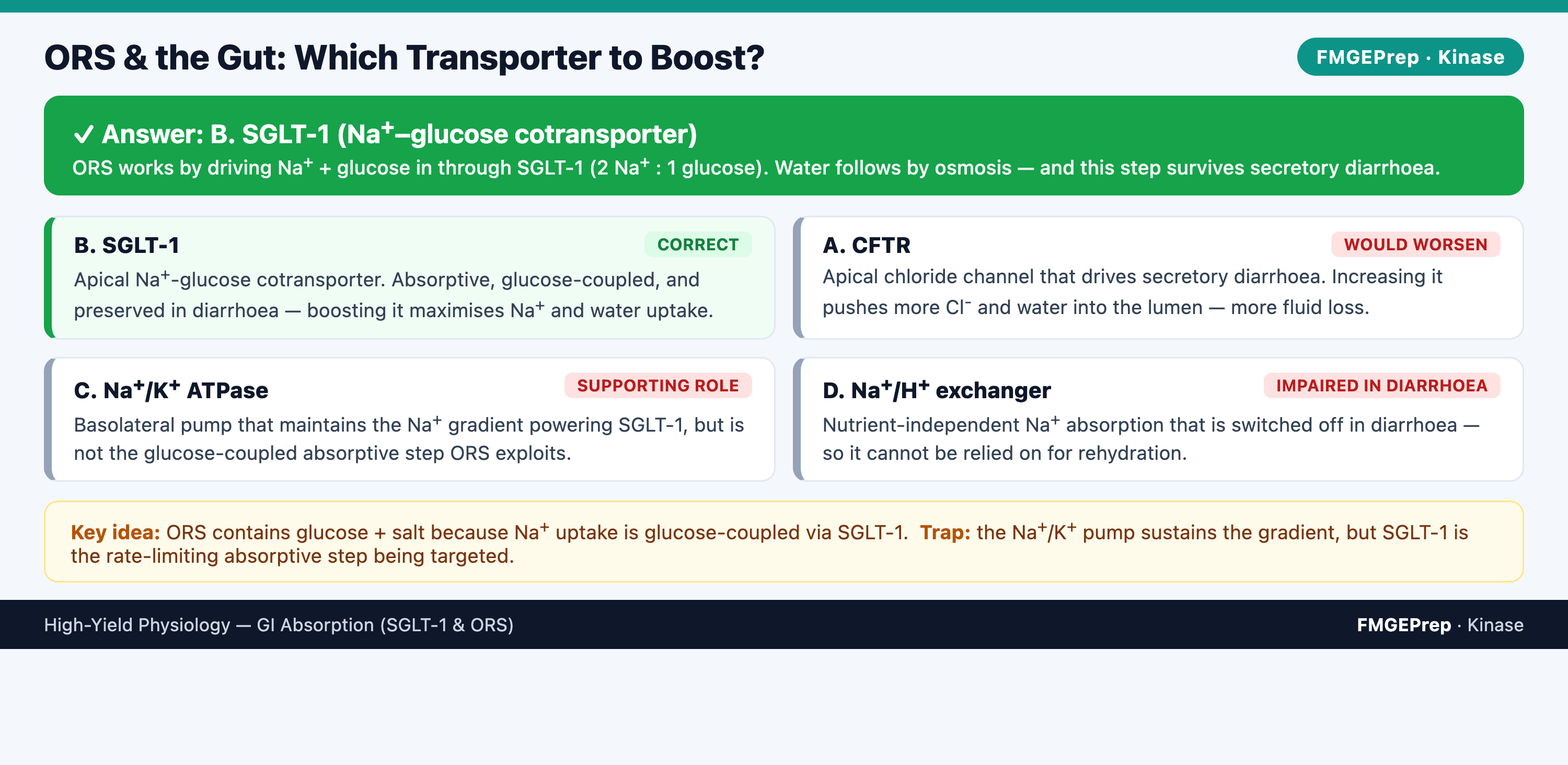 Infographic comparing CFTR, SGLT-1, Na-K ATPase and Na-H exchanger and why SGLT-1 should be boosted to treat diarrhoeal dehydration