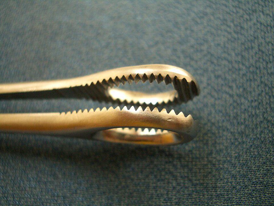 Sponge-holding forceps (Rampley's)